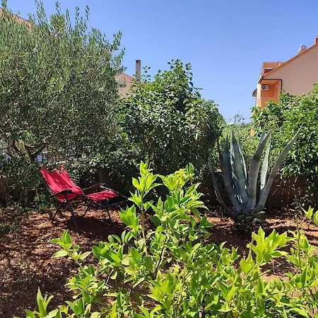 Apartment Nera